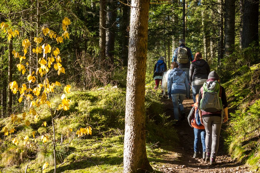 Am Waldpfad Groppertal sollten Sie unbedingt den Uhustein besichtigen