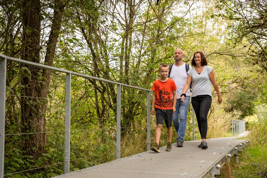 Ein Spaziergang in der Mühlhauser Halde ist für die ganze Familie geeignet.