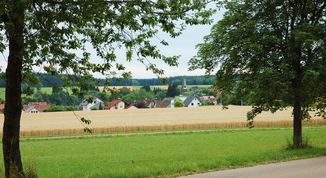 Blick auf Pfaffenweiler.