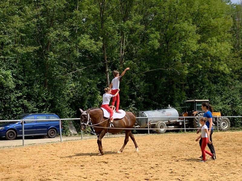 sportliche Aktivitäten mit Tieren sind hoch im Kurs. Beim Voltigieren im Zollhaus wird eine gute Koordination gefördert.