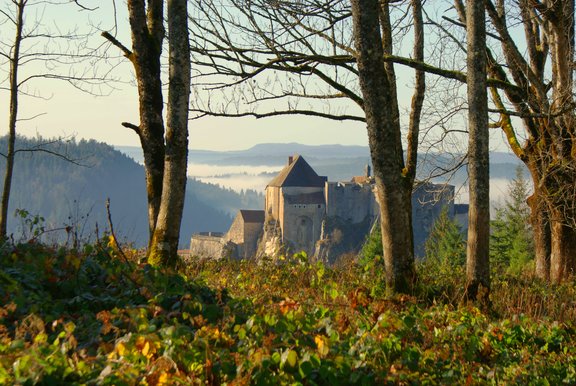 Die französische Stadt Pontarlier ist mit Villingen-Schwenningen befreundet.