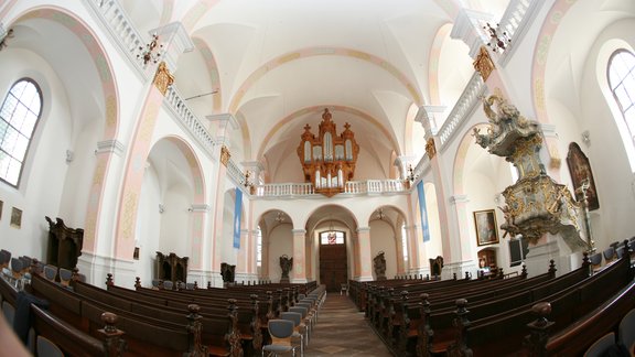 zu sehen ist der Innenraum der Kirche. Auf der Empore steht die berühmte Silbermannorgel.