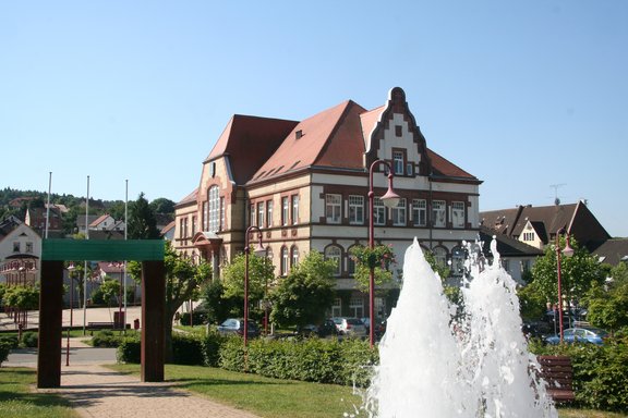 Blick auf die Stadt Friedrichsthal.