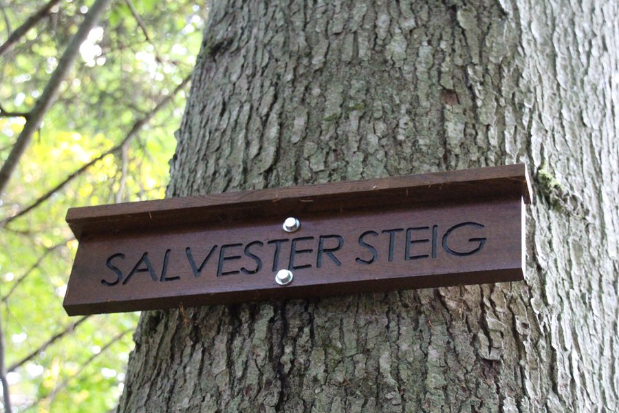 Salvester Steig