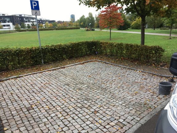 Gepflasterter Behindertenparkplatz am Neckarpark mit einer grünen Wiese im Hintergrund