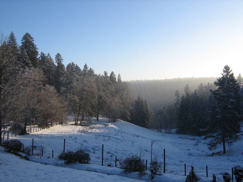 Blick vom Forsthaus Salvest