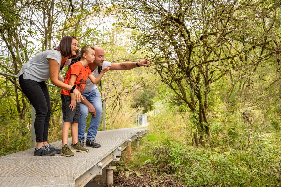 Die Mühlhauser Halde ist ein schönes Naherholungsgebiet, wo die Wunder der Natur bestaunt werden können.