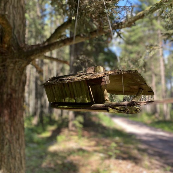 Vogelhäuschen im Germanswald