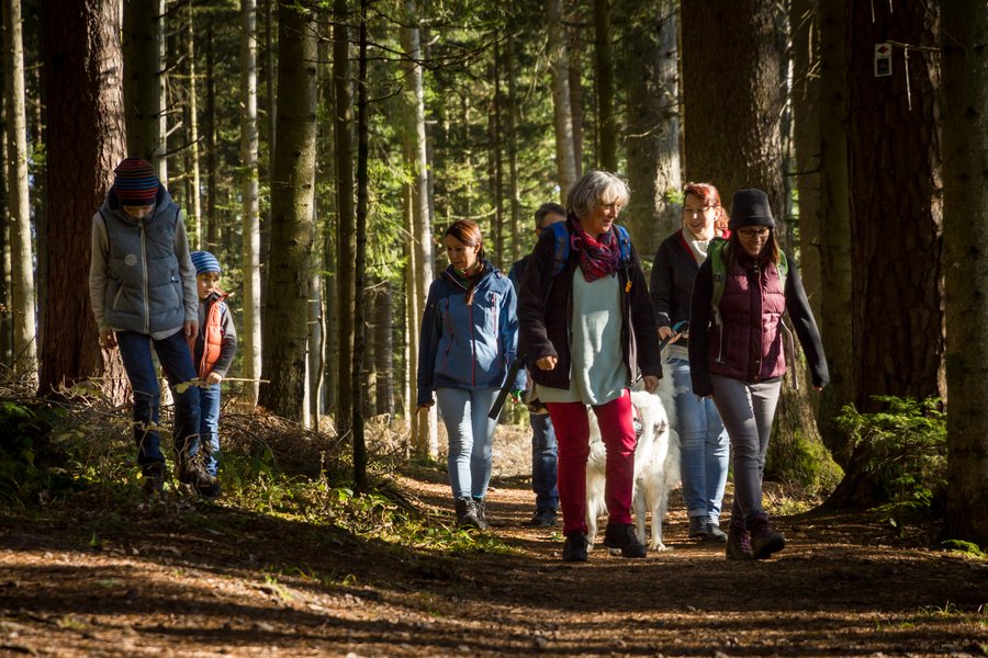 Entdecken Sie die Natur mit einem unserer Wandervereine auf dem Genießerpfad Waldpfad Groppertal.